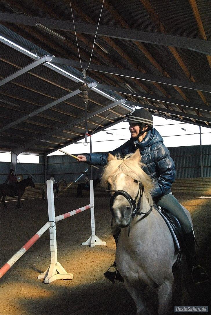 Anden særlig race cæcar - ringridning :-) billede 7