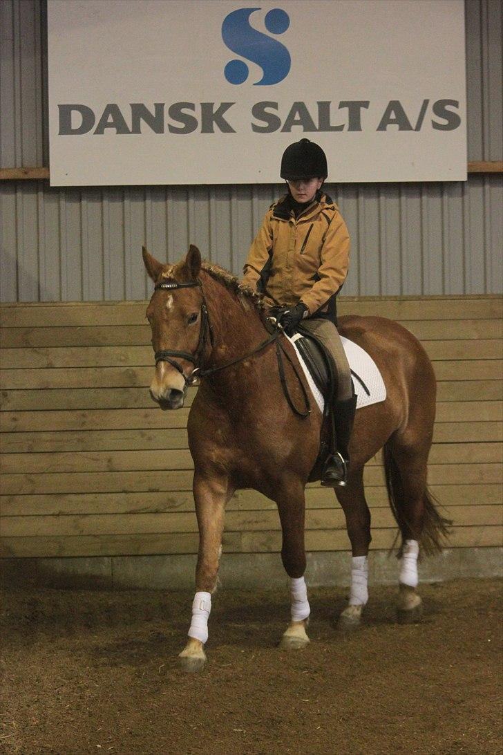 Anden særlig race Petra - Foto: Line Skou (også her på HG) billede 12