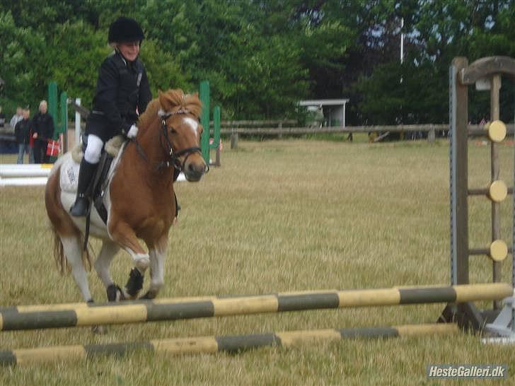 Anden særlig race Christian. [Tidl Hest] Savner ham:'( <3 :') - Mit føste stævne!.. "Vandt jeg" :) billede 17