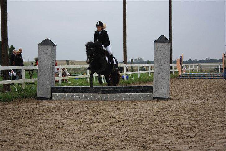 Anden særlig race Nydams Marie - Vores første stævne sammen ;D billede 2