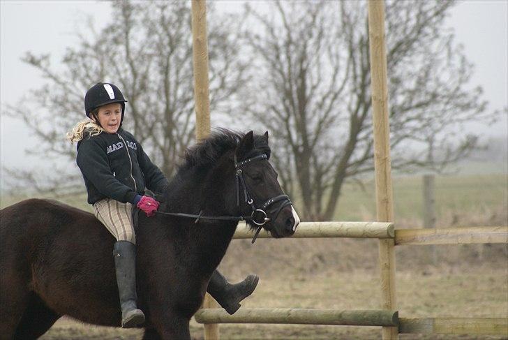 Anden særlig race Nydams Marie - Første gang jeg rider Marie <3 billede 4
