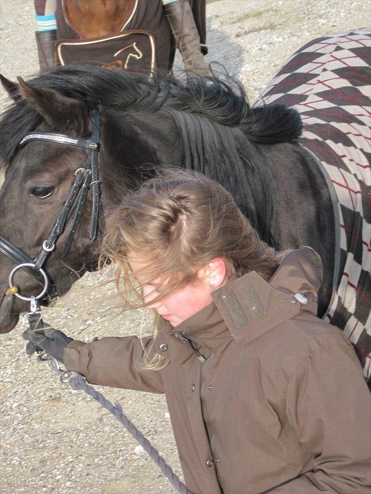 Anden særlig race Nydams Marie - Ude at gå en lille tur :) billede 8