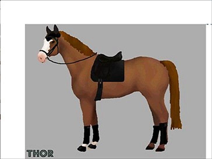 New Forest Thor - Her er Thor tegnet billede 4