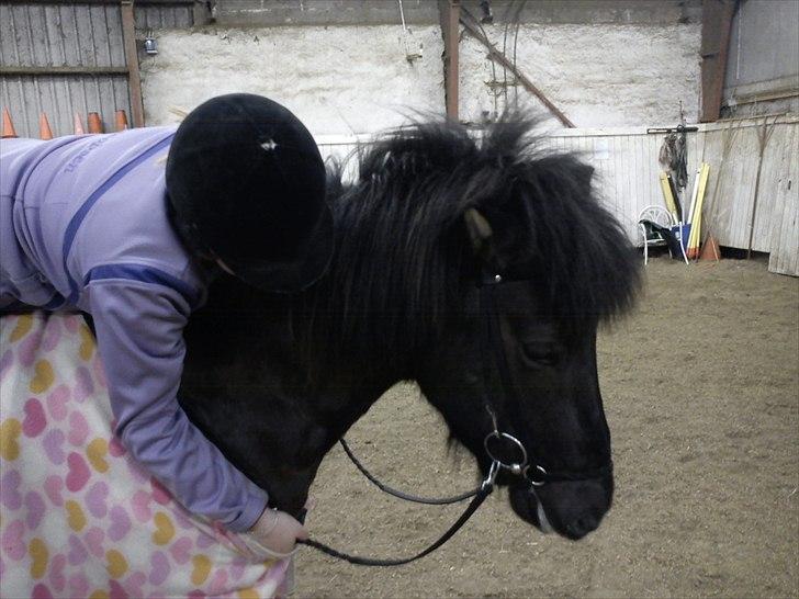 Islænder Óður fra Nautrup  [tidl.hest] - Mig og Bølle <3 billede 17