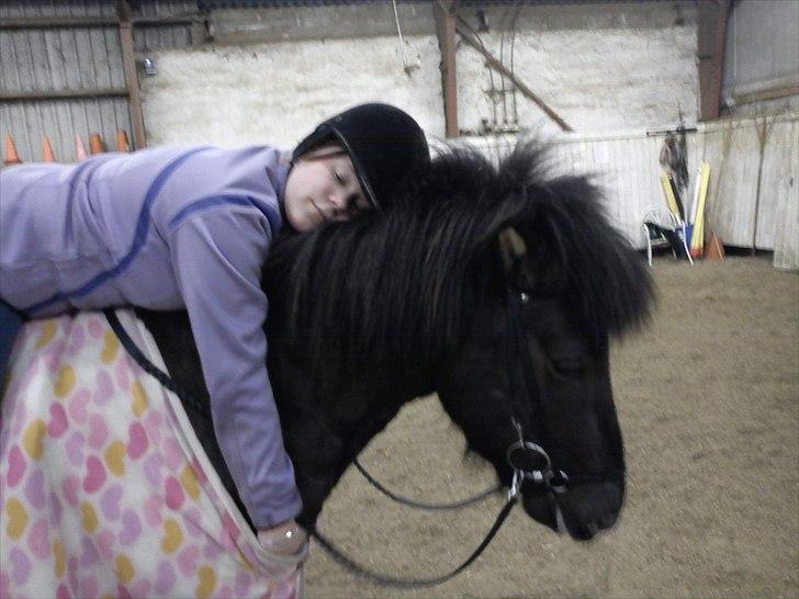 Islænder Óður fra Nautrup  [tidl.hest] - Det kaldes KÆRLIGHED! billede 18