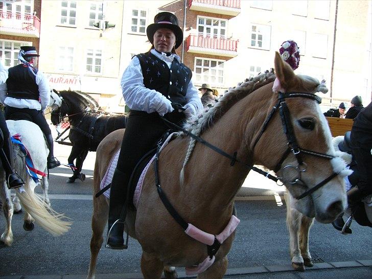 Tyroler Haflinger Kora Elghuset Tidl.part - Se mig lige, Fastelavn på Amager 2011. Barike er også godt pyntet og det blev kun værer billede 14