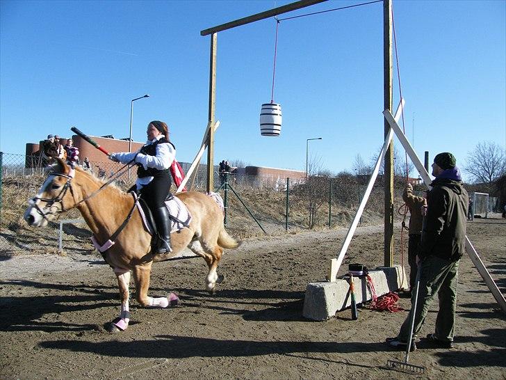 Tyroler Haflinger Kora Elghuset Tidl.part - wow, hvor er det skægt, mon hun rammer tønden? billede 15