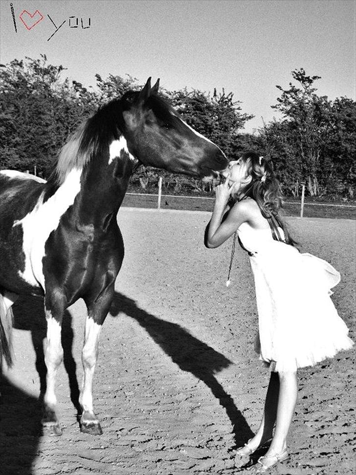 Pinto Emir (part) - Til min Konfirmation billede 6