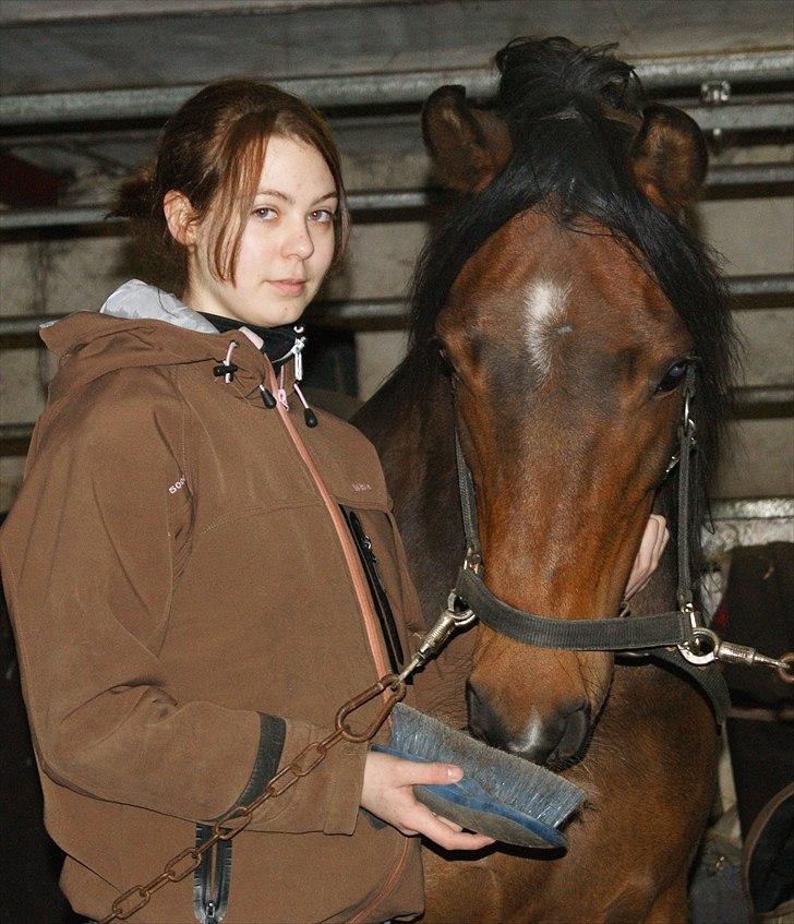 Anden særlig race sebastian billede 17