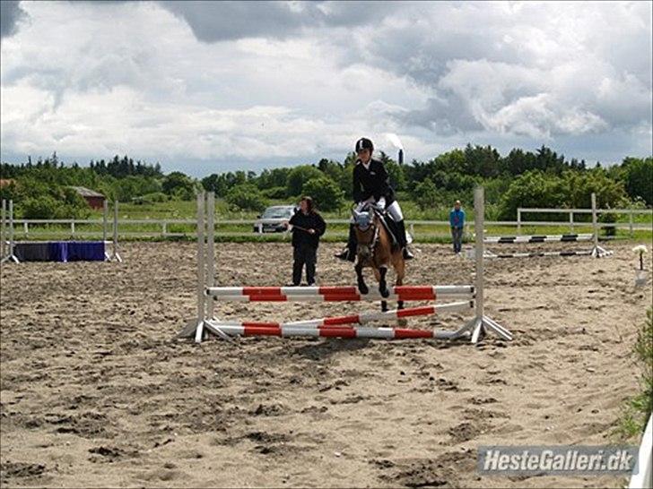 Gotlandsruss Bolina - Mig og Bolina til springcup på SKRI :) billede 2