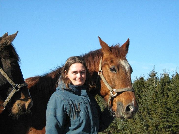 Dansk Varmblod Chita(hvil i fred dejlige) - 6/3-11 er ude og give gulerødder. Tænk at denne hest og jeg har været sammen siden den 26/4-1986, JEG ER SUPER HELDIG! Fotograf Thor. billede 13