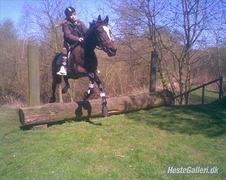 Traver Fie Rico - Et spring op ad bakke i grusgraven. :-) billede 4