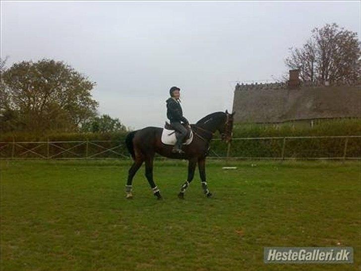 Traver Fie Rico - Lidt springning på marken. :-) billede 5