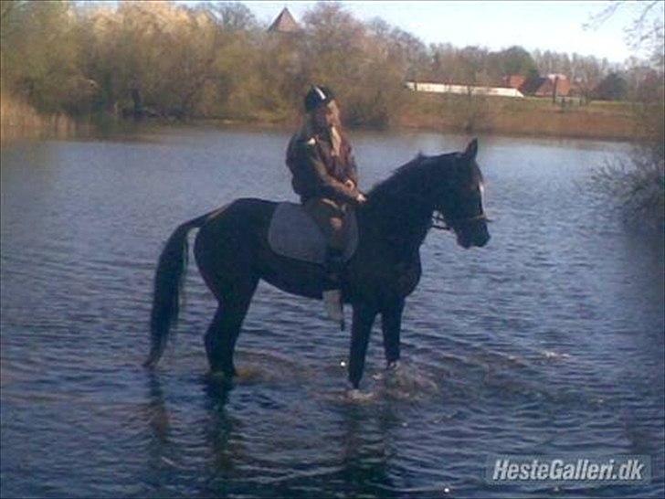 Traver Fie Rico - I grusgraven ude og køle futterne af. :-) billede 6