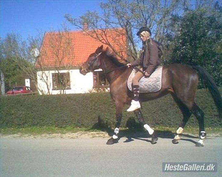 Traver Fie Rico - På vej ned til grusgraven igennem Kettinge. ;-) billede 8