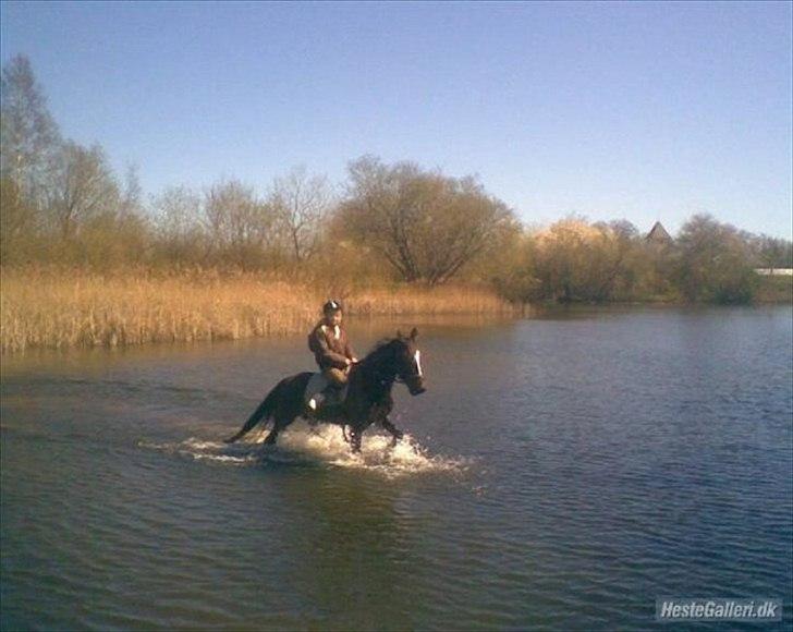 Traver Fie Rico - I vanden i grusgraven, mmmmmh :-) billede 15