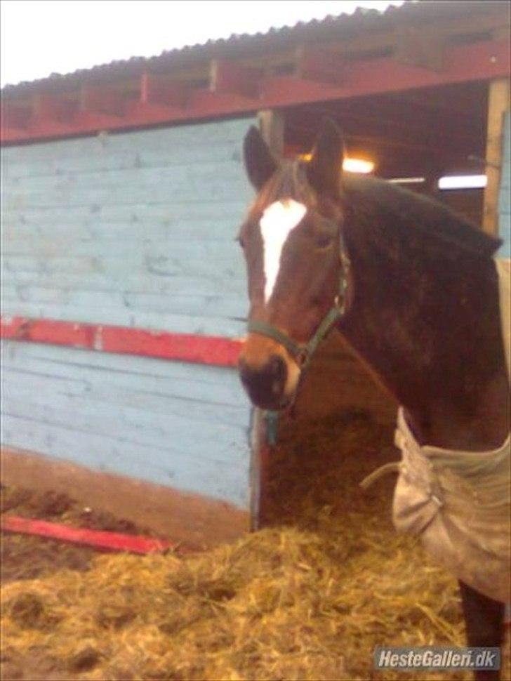 Traver Fie Rico - Fie Rico. :-* billede 18