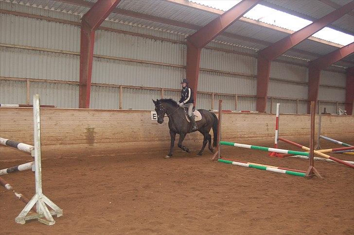 Oldenborg Catana billede 5