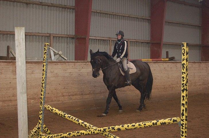 Oldenborg Catana billede 6