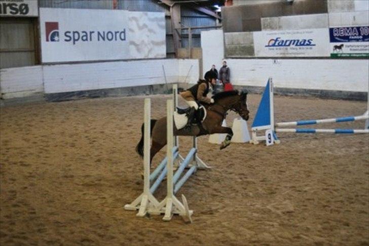 Hollandsk Sportspony Star Jumper. Lånt ½ år  - Jumper og Freya 1. udenbyes stævne i Farsø billede 6