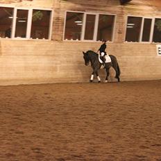 Anden særlig race Sheik <3 