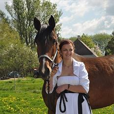 Dansk Varmblod Diamond [Tidl. Part]