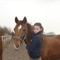 Anden særlig race Amanda *Gl. Part*