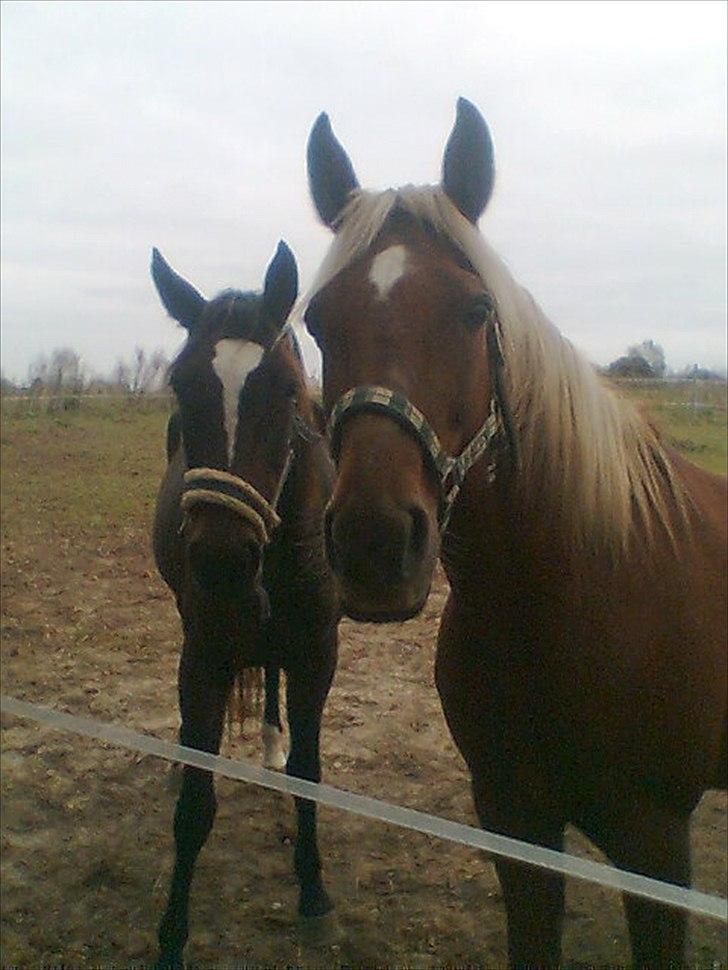 Traver Wisnu  - Wisnu og Fie. ;-) billede 3