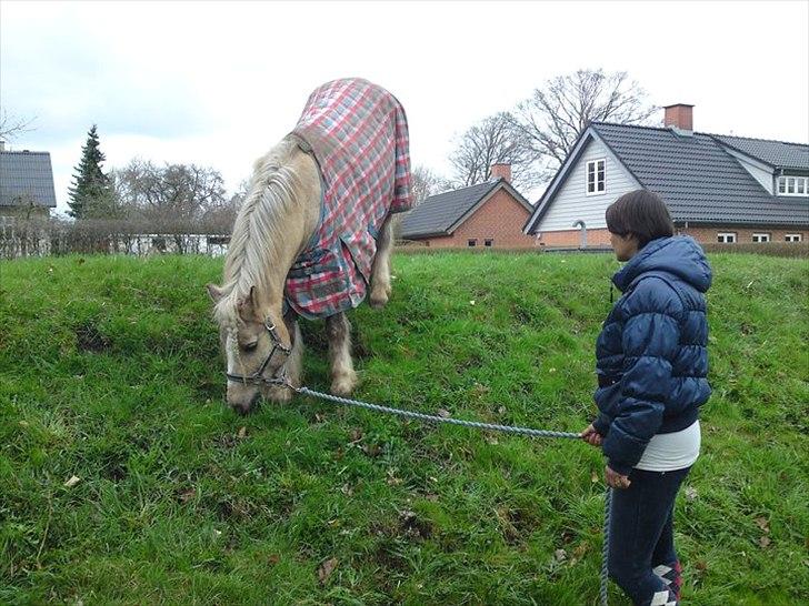 Anden særlig race cæcar - cæcar ude at gå forårstur :-) billede 5