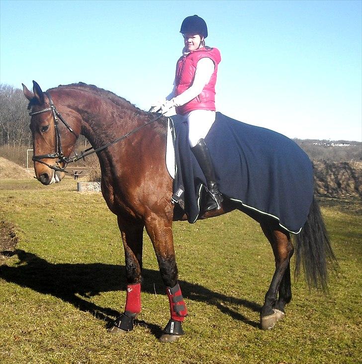 Dansk Varmblod Tatiana (Vildkat) - Min "lille" baby :´) billede 19