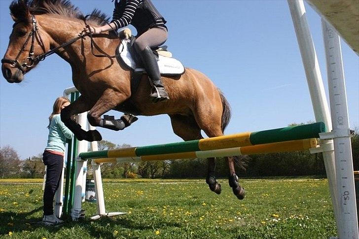 Anden særlig race Brie Marteyna - 1 meter :D :* <3 billede 4