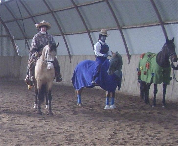 Anden særlig race Smølfie - Smølf som smølf billede 13