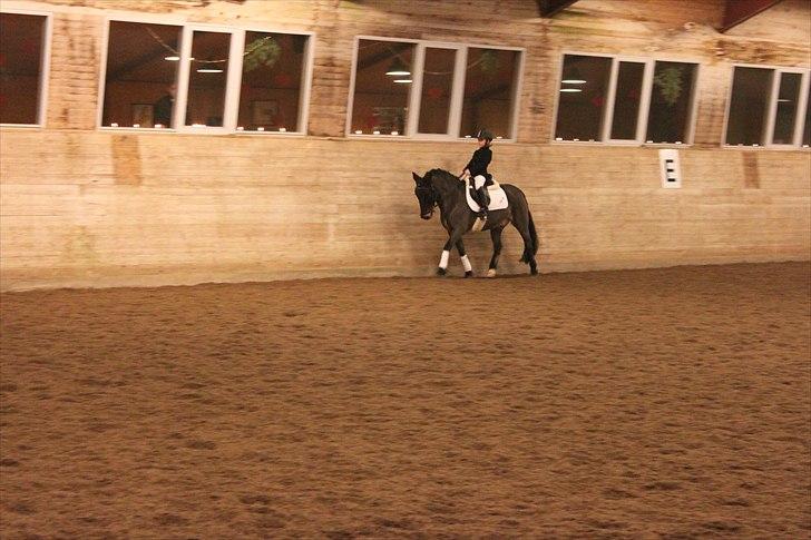 Anden særlig race Sheik <3  - Til mit anden stævne :) Ld1  billede 2