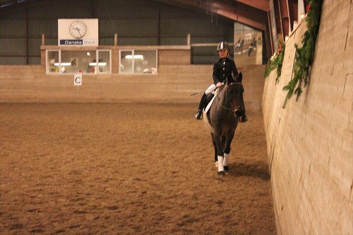 Anden særlig race Sheik <3  - Anden stævne Ld1/Lc1 :)  billede 4