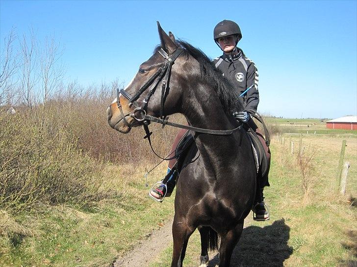 Anden særlig race Houmgaards Shakira<3. - På en lille tur. billede 7