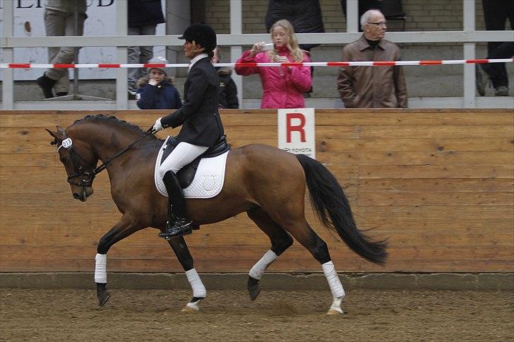 DSP Zatarra billede 7