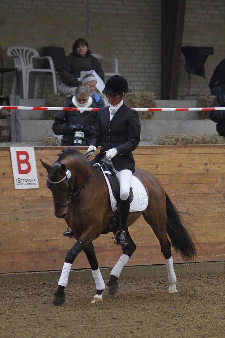 DSP Zatarra billede 8