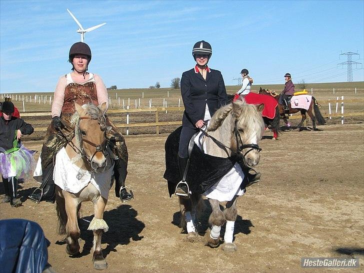 Anden særlig race cæcar - fastelavnsridning: det nygifte par cæcar og pipi :-) billed taget af Hjulmand :-) billede 8