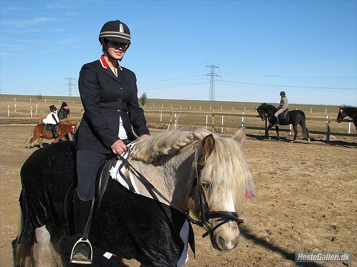 Anden særlig race cæcar - fastelavnsridning på Svej :-) billed taget af Hjulmand :-) billede 9