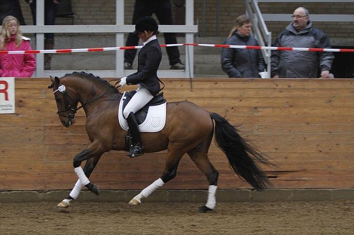 DSP Zatarra billede 9