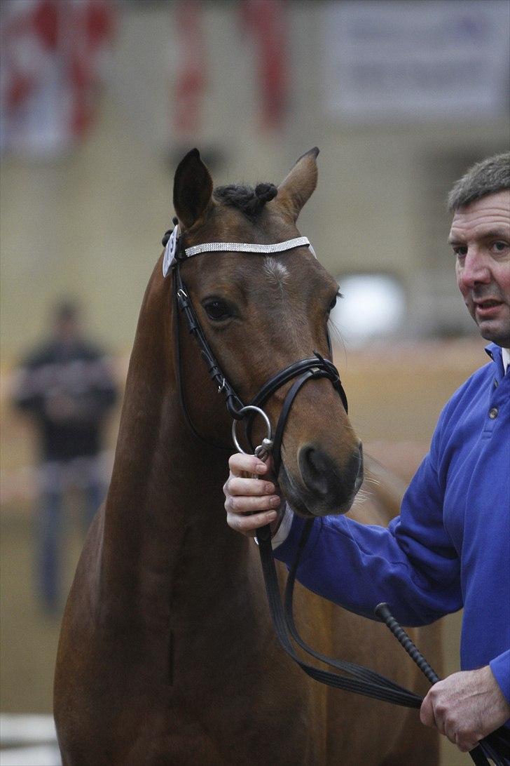 DSP Zatarra billede 10