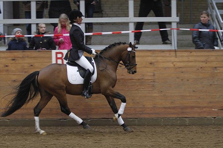 DSP Zatarra billede 14