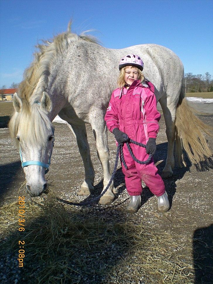 Anden særlig race Ragna billede 11