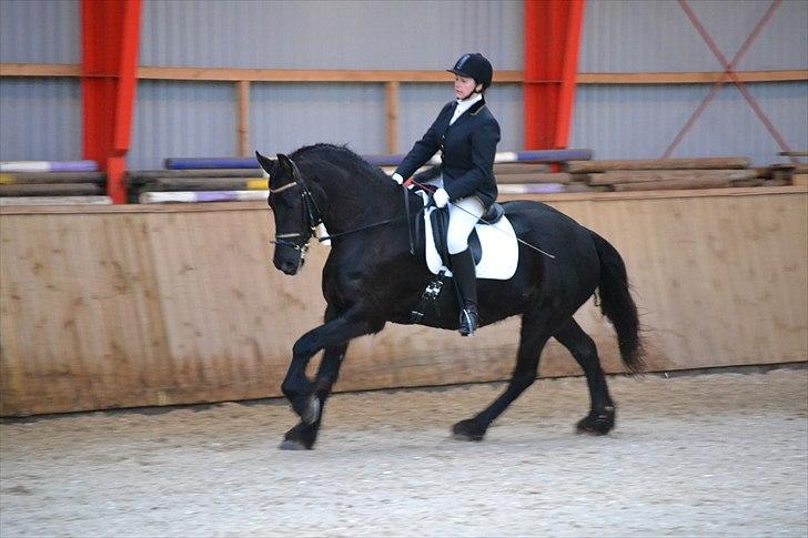 Frieser Njiskja*Frauke* - Til stævne i Egtved billede 7