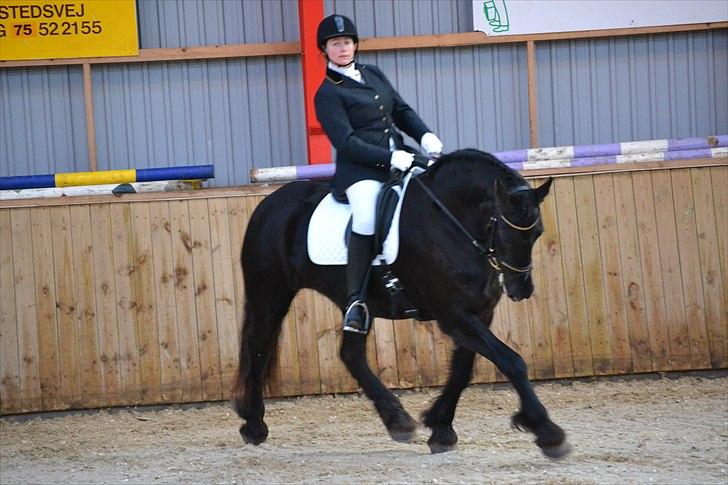 Frieser Njiskja*Frauke* - Hun er Så flot :D billede 9