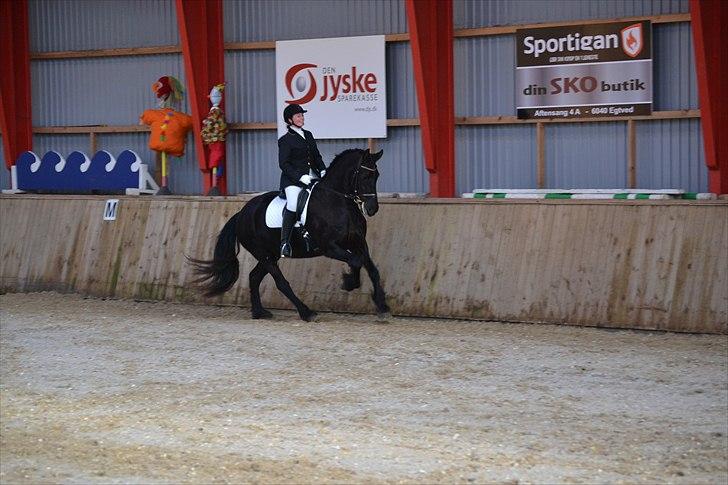 Frieser Njiskja*Frauke* billede 10