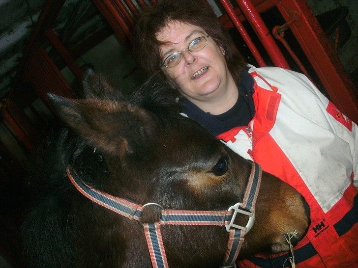 Connemara Marienhøjs Bella billede 13