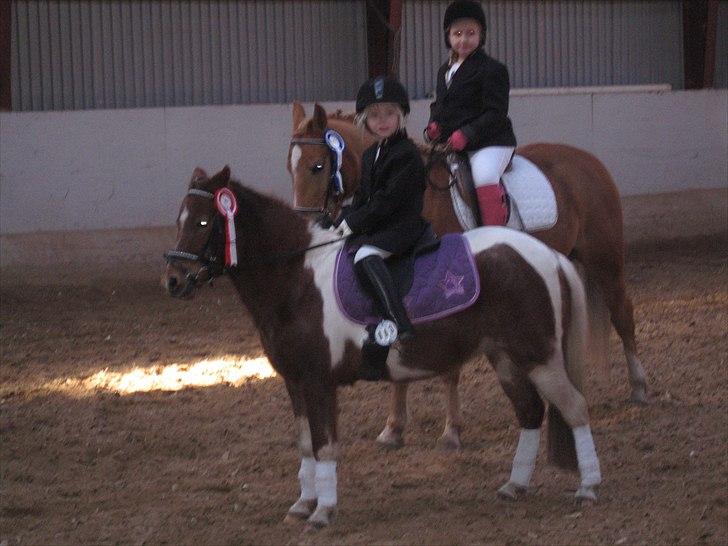 Anden særlig race Bell  (Solgt) - Stine og Bell vandt holdridningen i Bellinge 5-3-11 billede 4