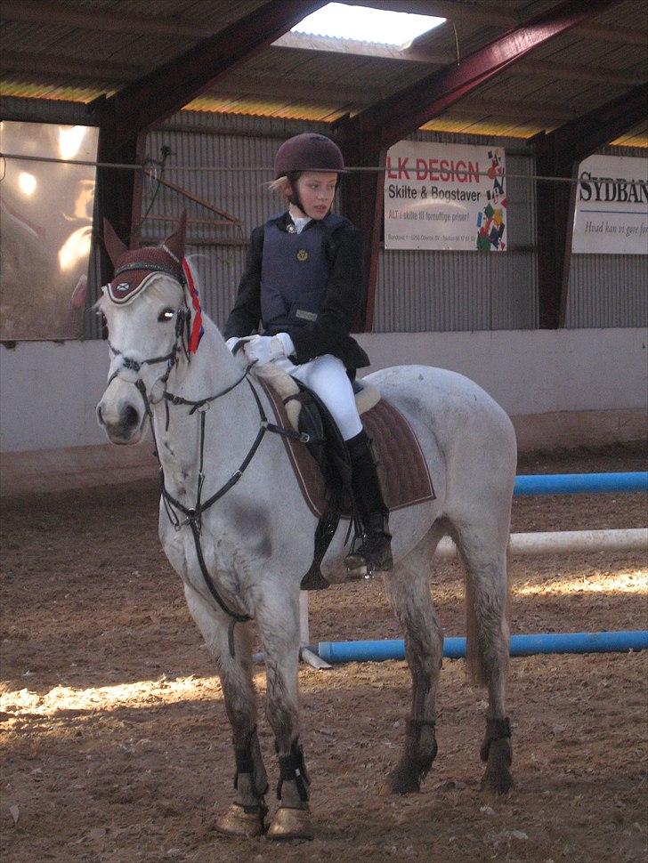 Hollandsk Sportspony Orlanda Downland (Himmelhest??) - 5-3-11   0 runde i LD i Bellinge billede 12