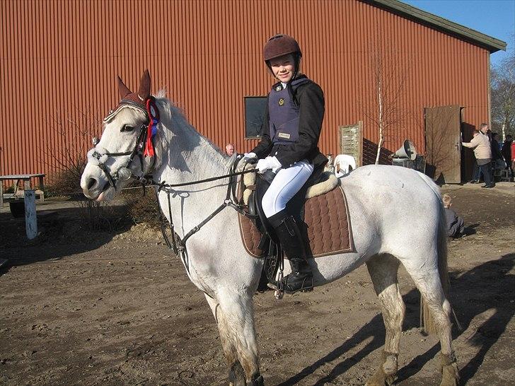 Hollandsk Sportspony Orlanda Downland (Himmelhest??) billede 13